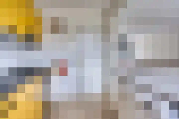 Iepstraat 7 Boven-Leeuwen thumbnail 13