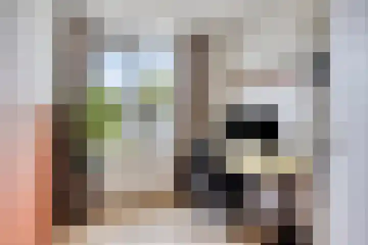 Iepstraat 7 Boven-Leeuwen thumbnail 17