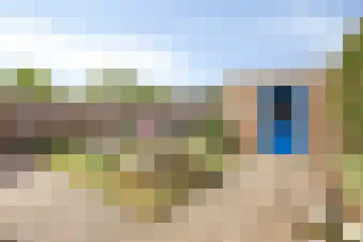 Iepstraat 7 Boven-Leeuwen thumbnail 22