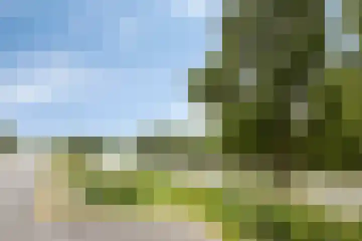 Iepstraat 7 Boven-Leeuwen thumbnail 26