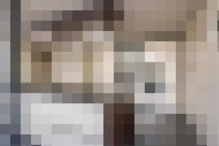 Iepstraat 7 's-Gravenzande thumbnail 21