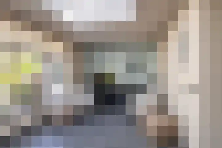 Iepstraat 7 's-Gravenzande thumbnail 23