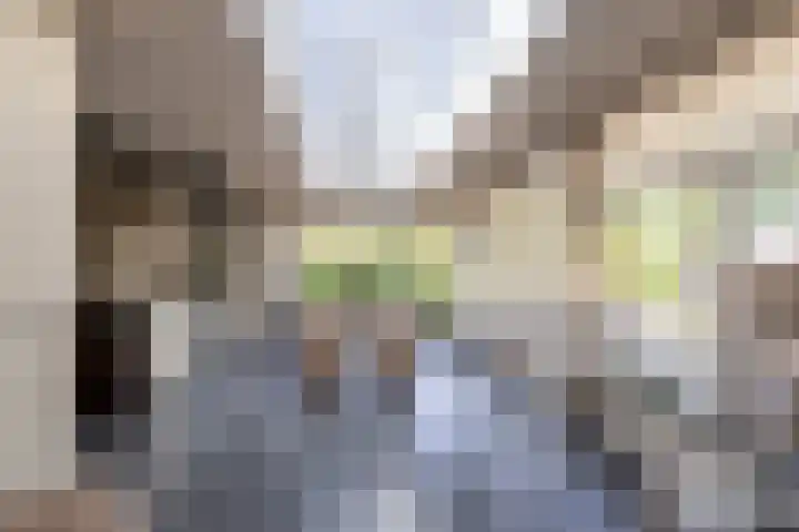 Iepstraat 7 's-Gravenzande thumbnail 24
