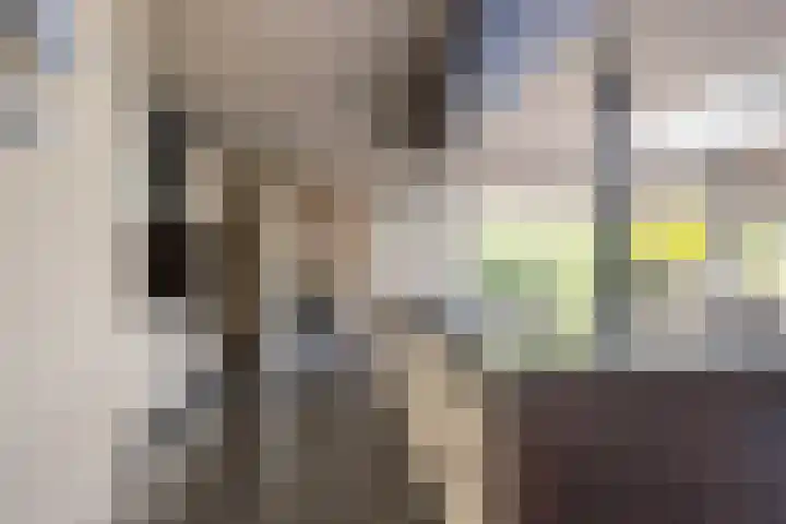 Iepstraat 7 's-Gravenzande thumbnail 27
