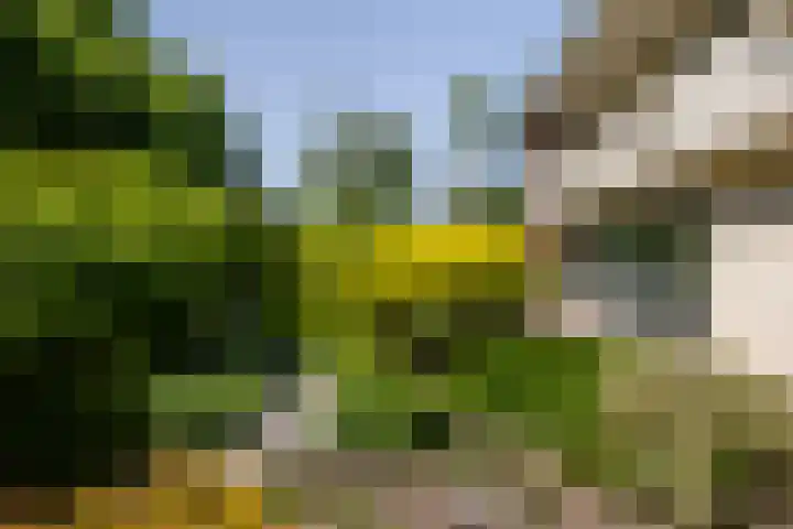 Iepstraat 7 's-Gravenzande thumbnail 33
