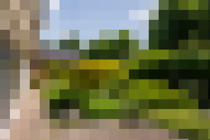 Iepstraat 7 's-Gravenzande thumbnail 34