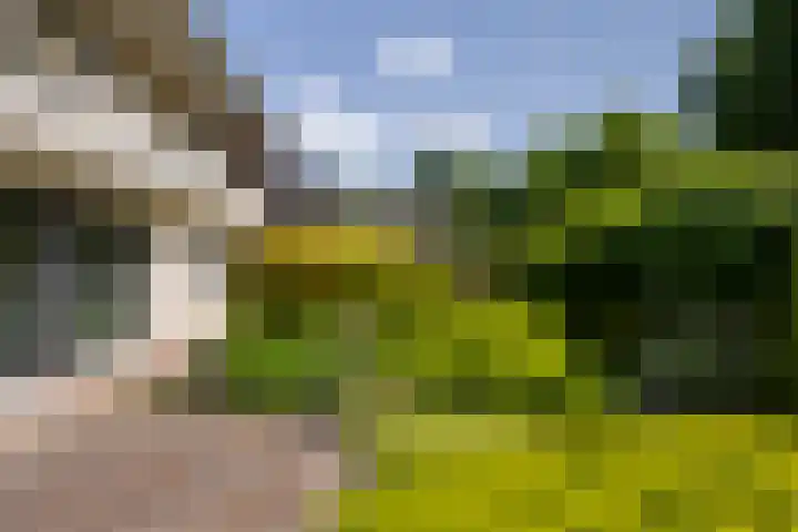 Iepstraat 7 's-Gravenzande thumbnail 35