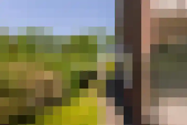 Iepstraat 7 's-Gravenzande thumbnail 36