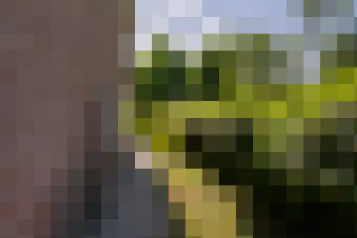 Iepstraat 7 's-Gravenzande thumbnail 37
