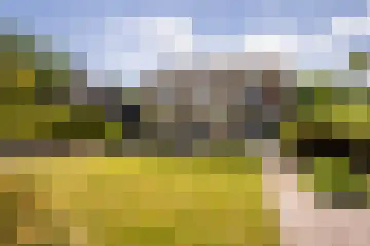 Iepstraat 7 's-Gravenzande thumbnail 6