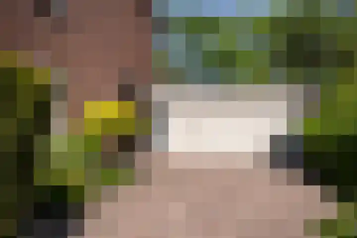 Iepstraat 7 's-Gravenzande thumbnail 65