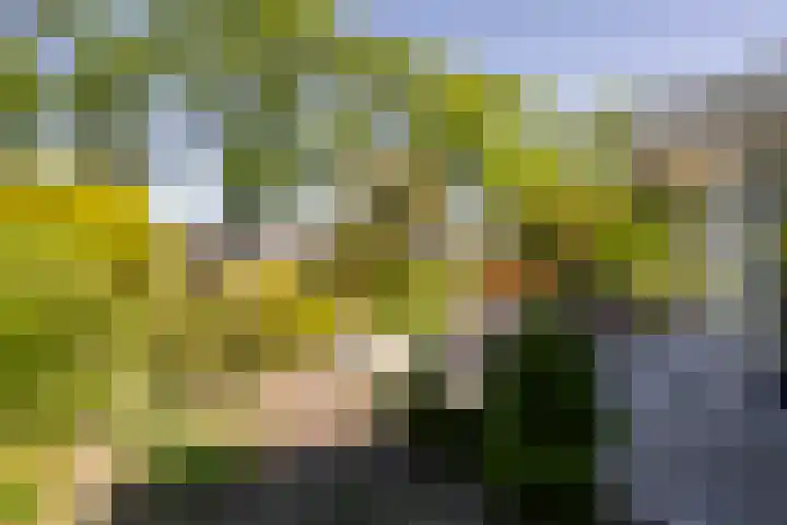 Iepstraat 7 's-Gravenzande thumbnail 68