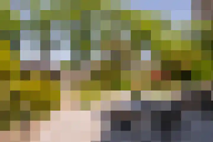 Iepstraat 7 's-Gravenzande thumbnail 69
