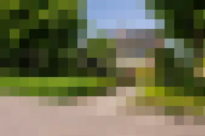 Iepstraat 7 's-Gravenzande thumbnail 7