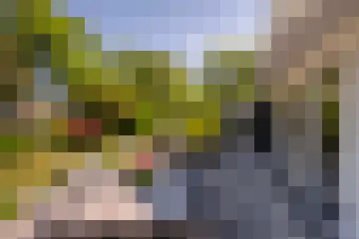 Iepstraat 7 's-Gravenzande thumbnail 70