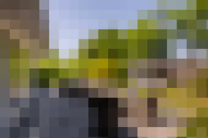 Iepstraat 7 's-Gravenzande thumbnail 71