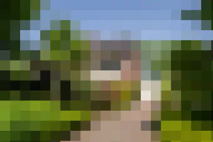 Iepstraat 7 's-Gravenzande thumbnail 8