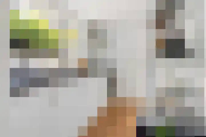 Iepstraat 7 Utrecht thumbnail 19