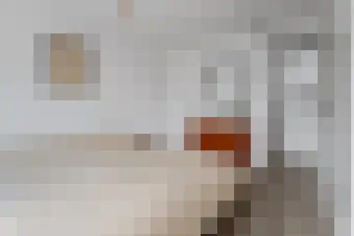 Iepstraat 7 Utrecht thumbnail 26