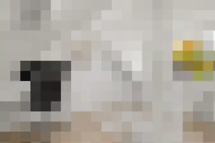 Iepstraat 7 Utrecht thumbnail 32