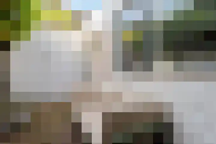 Iepstraat 7 Utrecht thumbnail 35