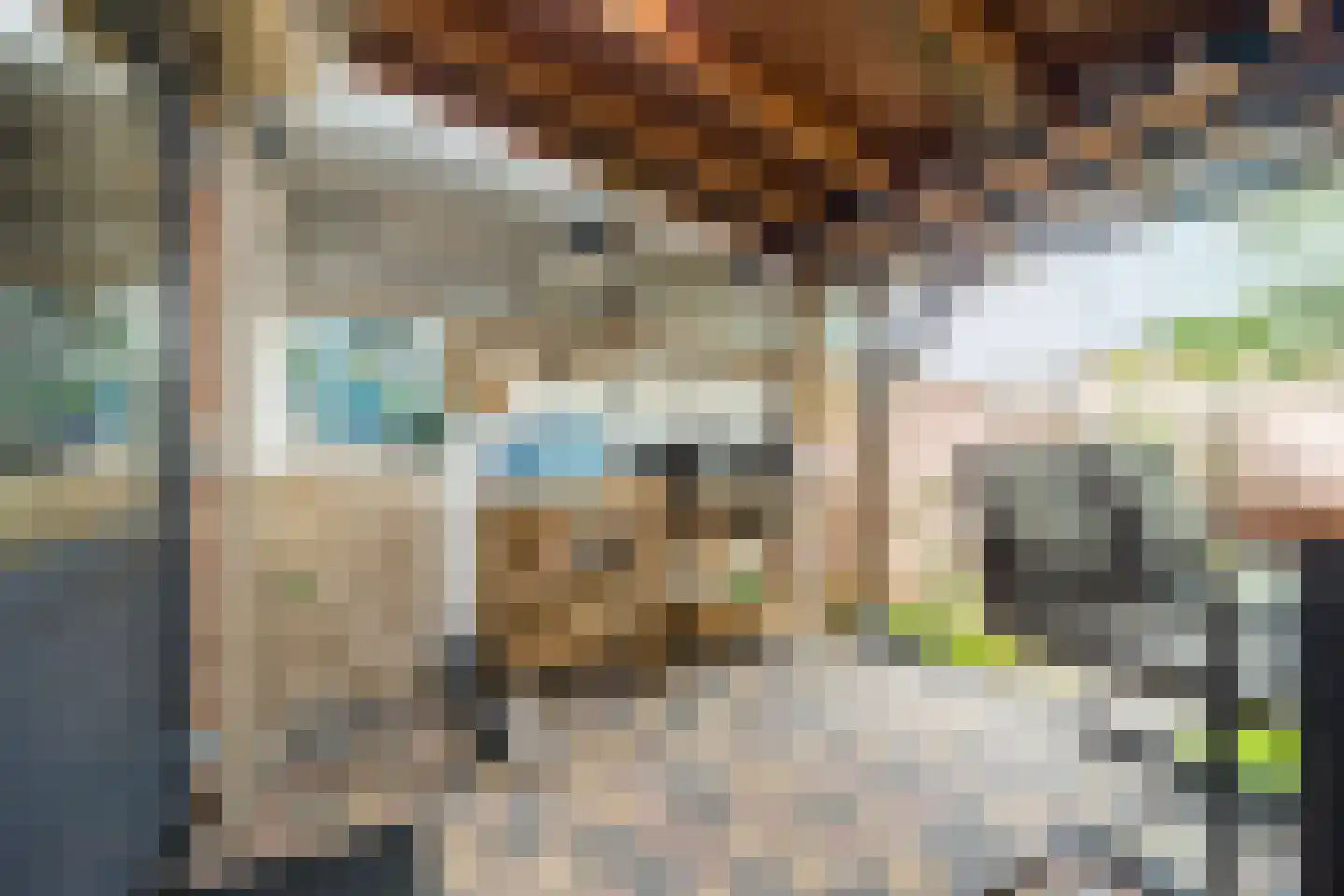 Iepstraat 9 Bergen op Zoom thumbnail 33