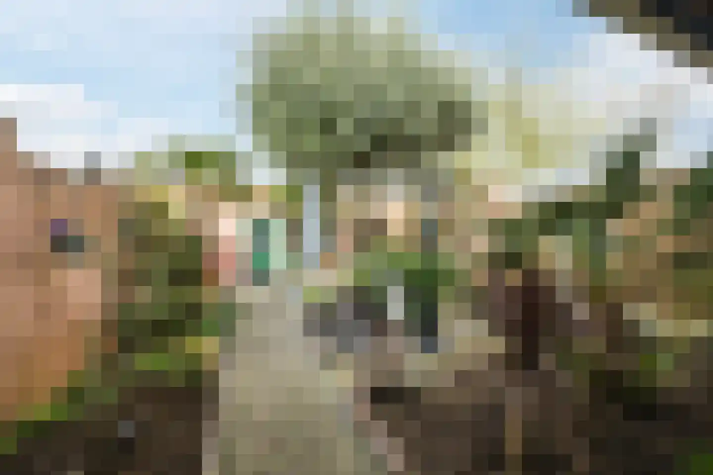 Iepstraat 9 Bergen op Zoom thumbnail 34