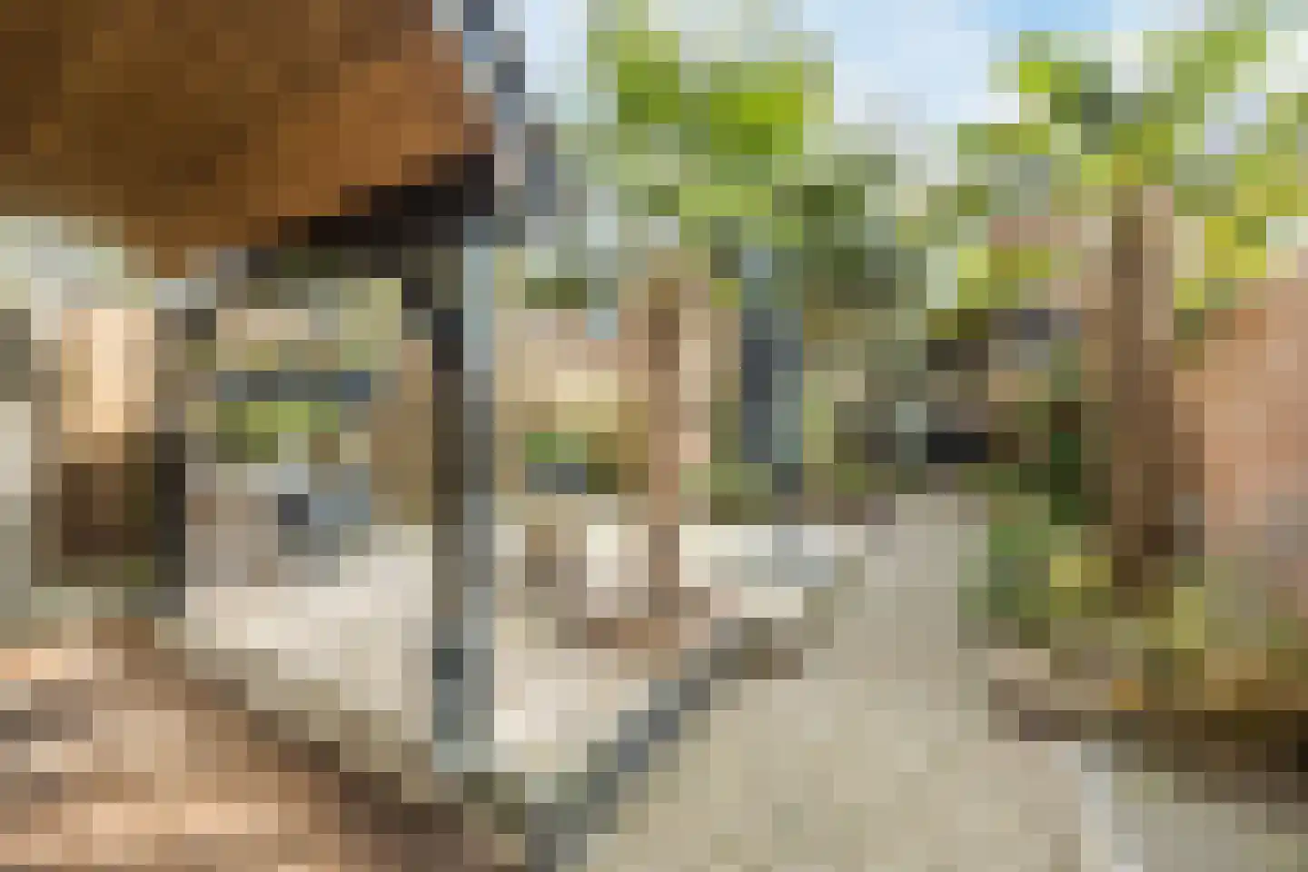 Iepstraat 9 Bergen op Zoom thumbnail 38