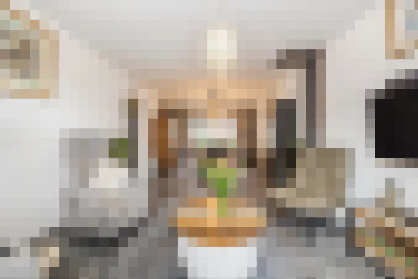 Iepstraat 9 Bergen op Zoom thumbnail 8