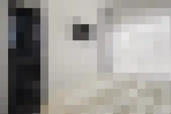 Ierlandhof 3 Almere thumbnail 14