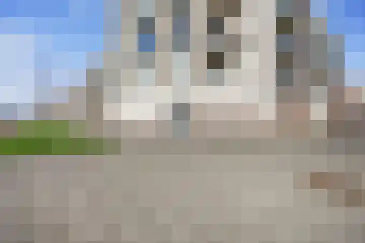 Ierlandhof 3 Almere thumbnail 37