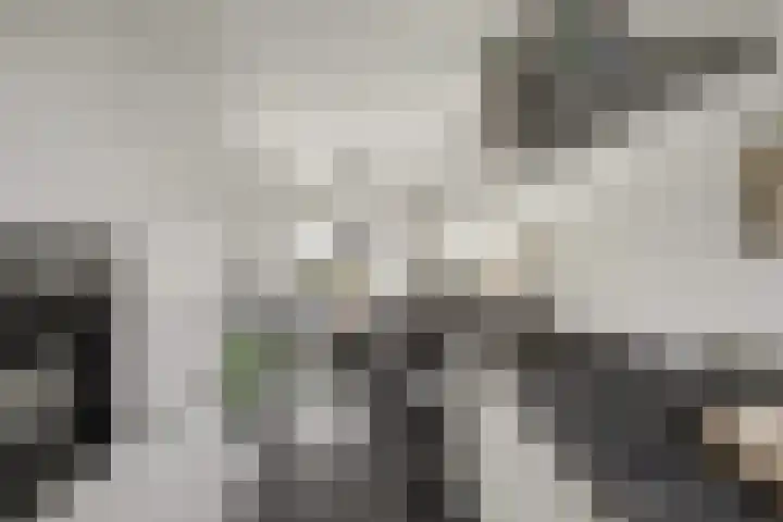Ierlandhof 3 Almere thumbnail 9