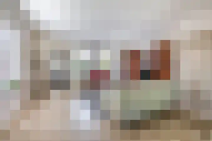 Ierlandlaan 3 Drunen thumbnail 10