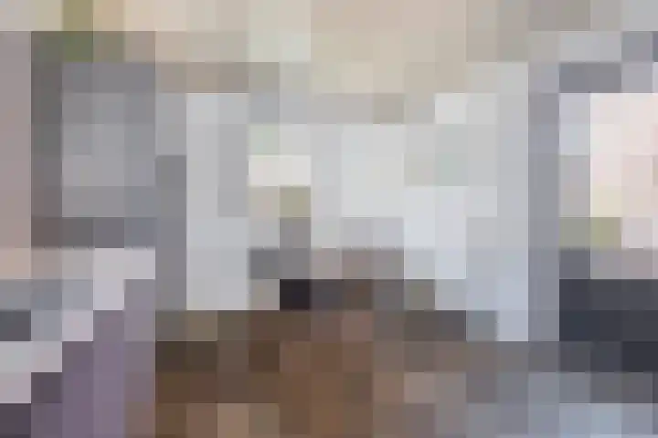 Ierlandlaan 3 Drunen thumbnail 19
