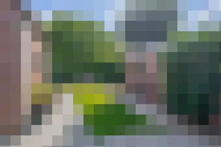 Ierlandlaan 3 Drunen thumbnail 21