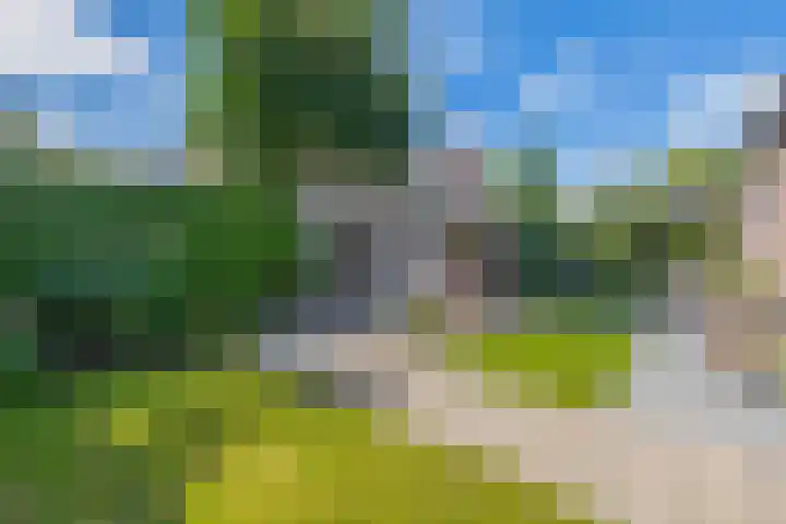 Ierlandlaan 3 Drunen thumbnail 23