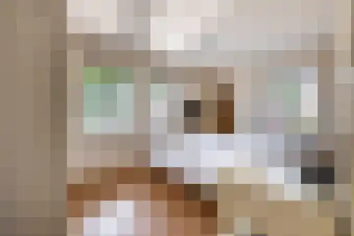 Ierlandlaan 3 Drunen thumbnail 26