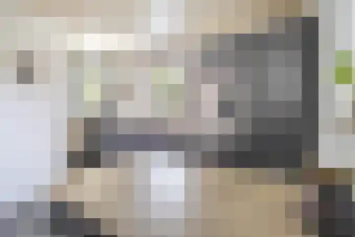 Ierlandlaan 3 Drunen foto 3