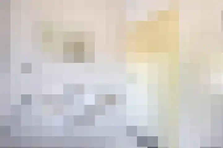 Ierlandlaan 3 Drunen thumbnail 30