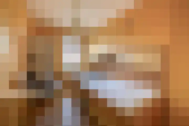 Ierlandlaan 3 Drunen thumbnail 31