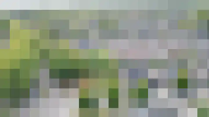 Ierlandlaan 3 Drunen thumbnail 35