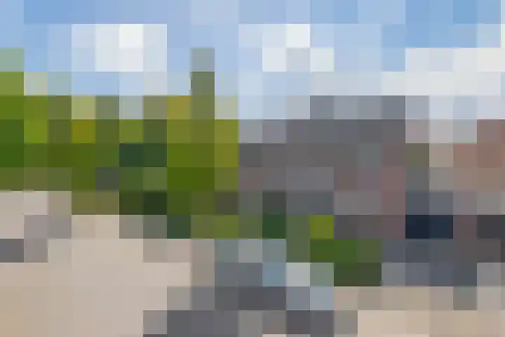 Ierlandlaan 3 Drunen thumbnail 4
