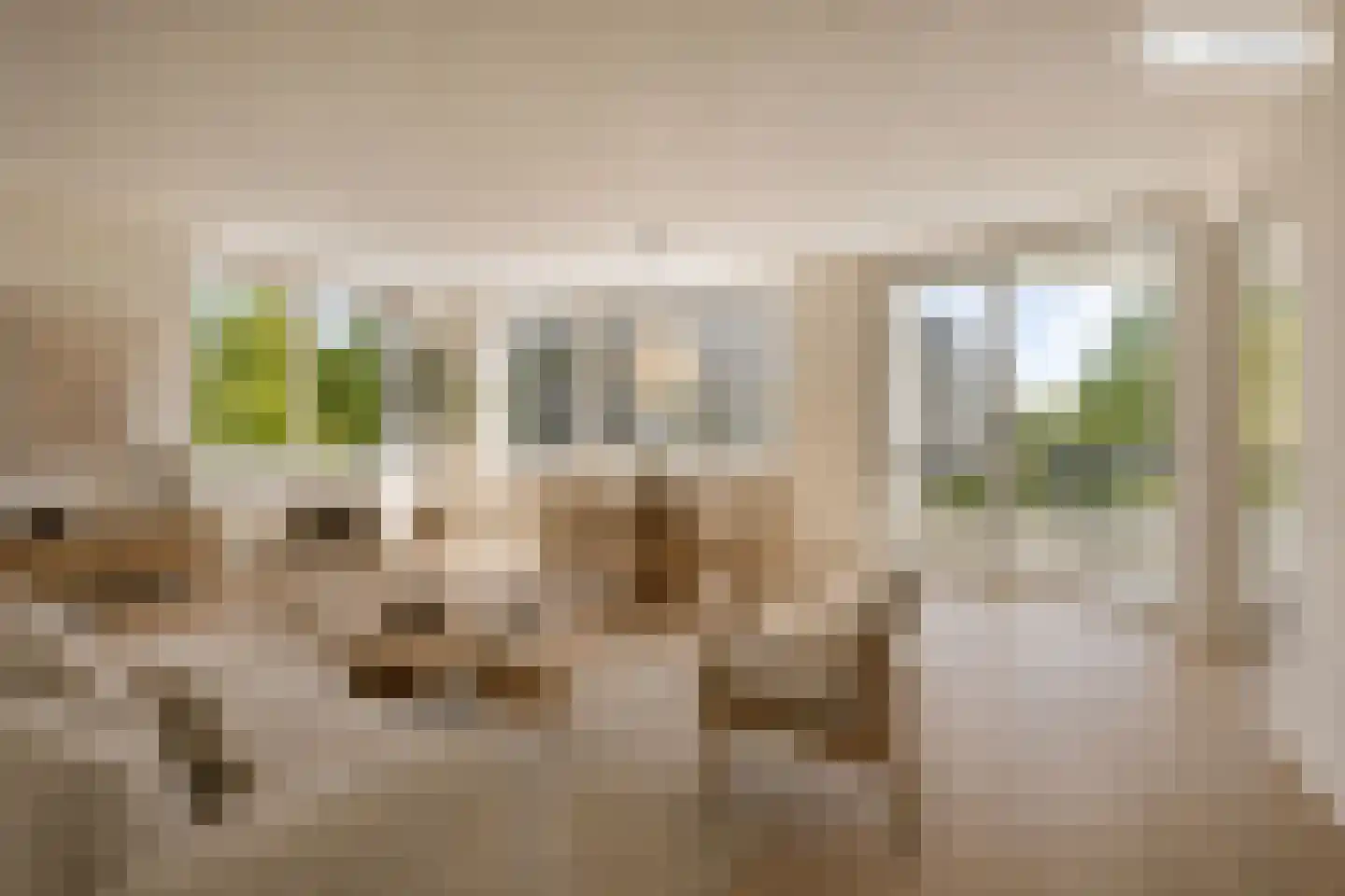 Ierlandlaan 38 Zoetermeer thumbnail 11
