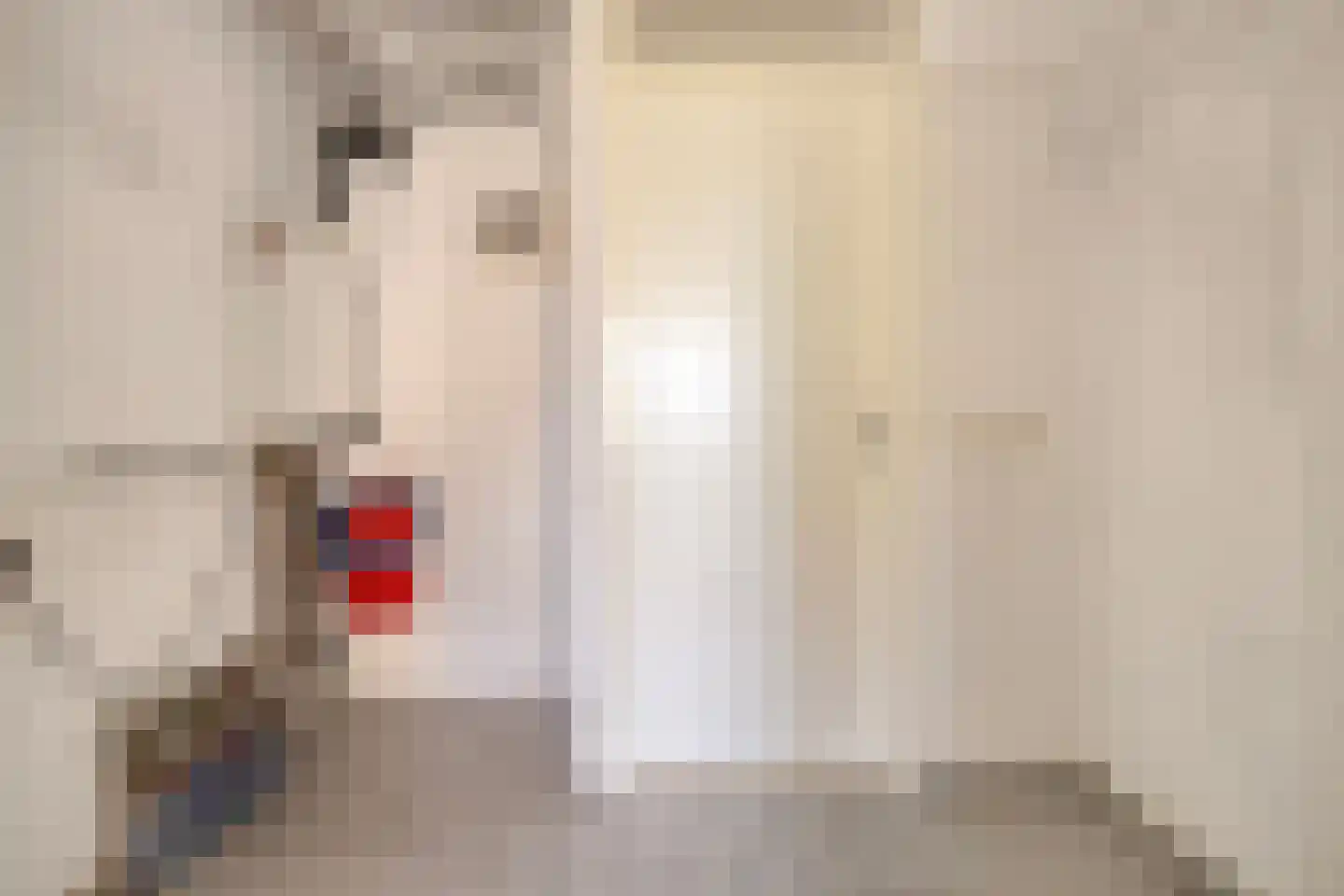 Ierlandlaan 38 Zoetermeer thumbnail 18