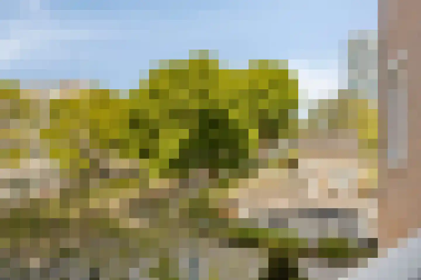 Ierlandlaan 38 Zoetermeer thumbnail 39