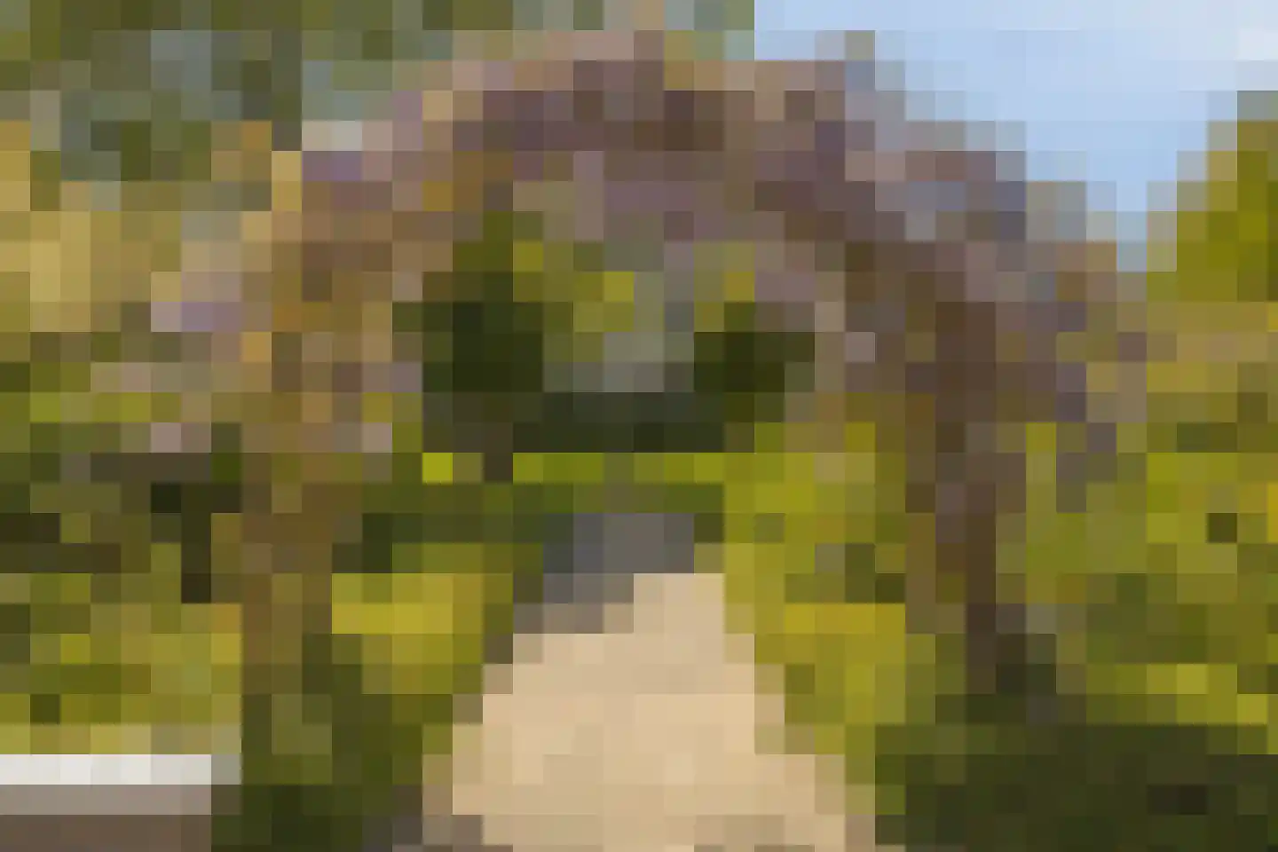 Ierlandlaan 38 Zoetermeer thumbnail 45