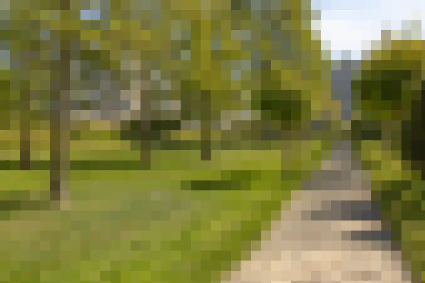 Ierlandlaan 38 Zoetermeer thumbnail 46