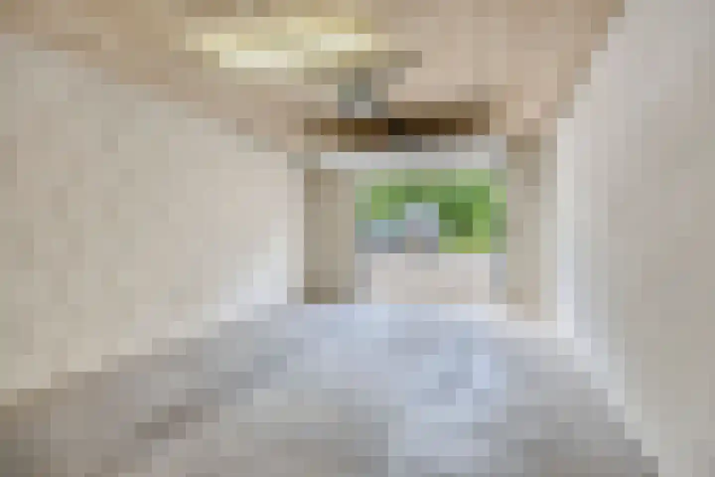 Ierlandlaan 40 Zoetermeer thumbnail 32