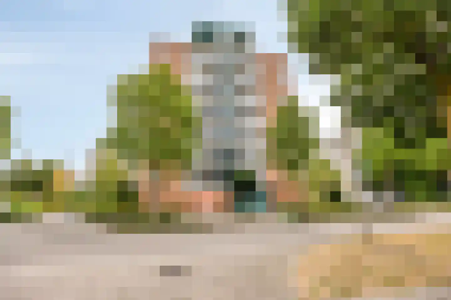 Ierlandlaan 40 Zoetermeer thumbnail 36