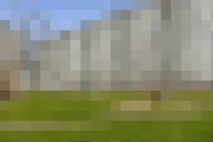 Ierlandstraat 198 dans Haarlem